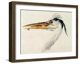 Heron with a Fish-J. M. W. Turner-Framed Giclee Print