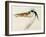 Heron with a Fish-J. M. W. Turner-Framed Giclee Print