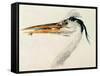 Heron with a Fish-J. M. W. Turner-Framed Stretched Canvas