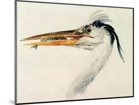 Heron with a Fish-J. M. W. Turner-Mounted Giclee Print