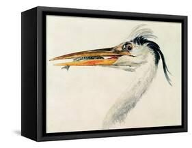 Heron with a Fish-J. M. W. Turner-Framed Stretched Canvas