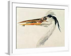 Heron with a Fish-J. M. W. Turner-Framed Giclee Print