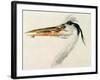 Heron with a Fish-J. M. W. Turner-Framed Giclee Print