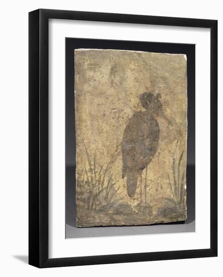 Héron-null-Framed Giclee Print