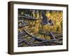 Heron-Jeff Tift-Framed Giclee Print