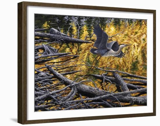 Heron-Jeff Tift-Framed Giclee Print