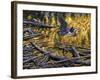 Heron-Jeff Tift-Framed Giclee Print