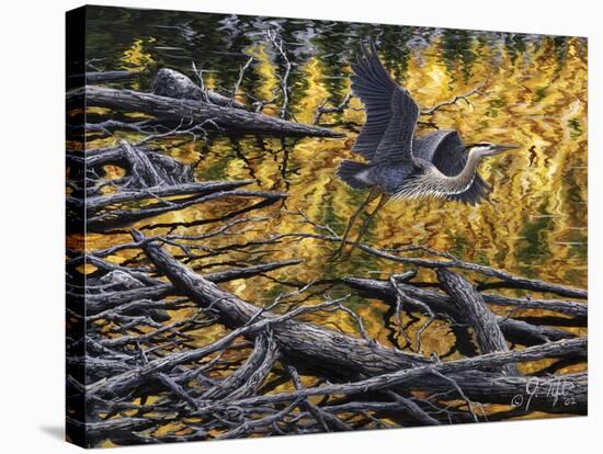 Heron-Jeff Tift-Stretched Canvas