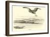 Heron-null-Framed Giclee Print