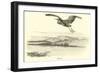 Heron-null-Framed Giclee Print