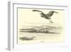 Heron-null-Framed Giclee Print