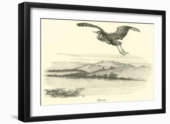 Heron-null-Framed Giclee Print