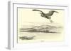 Heron-null-Framed Giclee Print