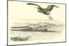 Heron-null-Mounted Giclee Print