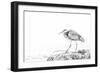 Heron-Janet Slater-Framed Photographic Print