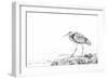 Heron-Janet Slater-Framed Photographic Print