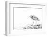 Heron-Janet Slater-Framed Photographic Print
