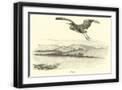 Black Frame