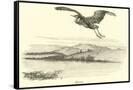 Canvas Black