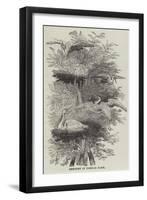 Heronry at Cobham Park-null-Framed Giclee Print