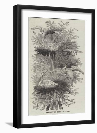 Heronry at Cobham Park-null-Framed Giclee Print