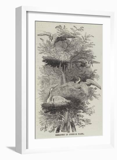 Heronry at Cobham Park-null-Framed Giclee Print