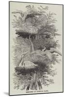 Heronry at Cobham Park-null-Mounted Giclee Print