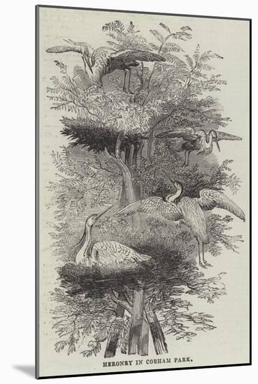 Heronry at Cobham Park-null-Mounted Giclee Print