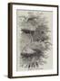 Heronry at Cobham Park-null-Framed Giclee Print