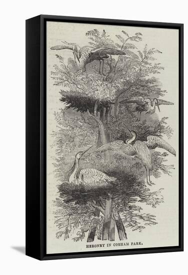 Heronry at Cobham Park-null-Framed Stretched Canvas