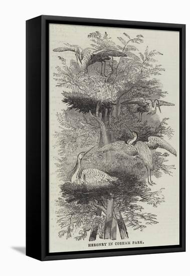 Heronry at Cobham Park-null-Framed Stretched Canvas