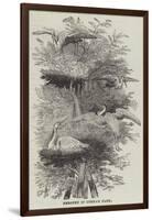 Heronry at Cobham Park-null-Framed Giclee Print