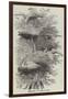Heronry at Cobham Park-null-Framed Giclee Print