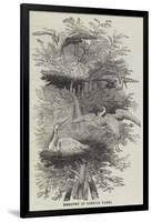 Heronry at Cobham Park-null-Framed Giclee Print