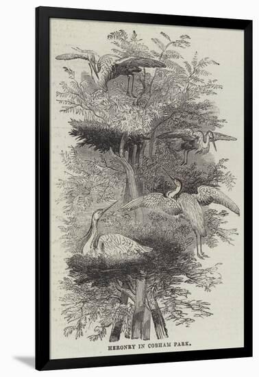 Heronry at Cobham Park-null-Framed Giclee Print