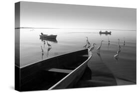 Herons and 3 Boats-Moises Levy-Stretched Canvas