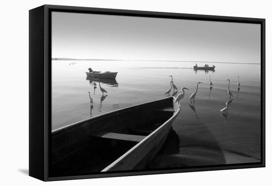 Herons and 3 Boats-Moises Levy-Framed Stretched Canvas