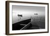 Herons and 3 Boats-Moises Levy-Framed Premium Photographic Print