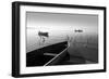 Herons and 3 Boats-Moises Levy-Framed Premium Photographic Print