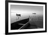 Herons and 3 Boats-Moises Levy-Framed Photographic Print