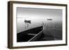 Herons and 3 Boats-Moises Levy-Framed Photographic Print