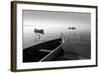 Herons and 3 Boats-Moises Levy-Framed Photographic Print