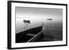 Herons and 3 Boats-Moises Levy-Framed Photographic Print