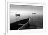 Herons and 3 Boats-Moises Levy-Framed Photographic Print