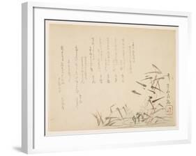 Herons and Reeds-null-Framed Giclee Print