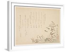 Herons and Reeds-null-Framed Giclee Print