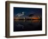 Herons At Night On Lake Csaj, Kiskunsag National Park, Hungary. Winner Of The Birds Category-Bence Mate-Framed Photographic Print