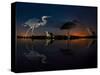 Herons At Night On Lake Csaj, Kiskunsag National Park, Hungary. Winner Of The Birds Category-Bence Mate-Stretched Canvas
