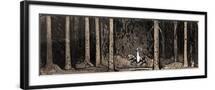 Black Frame