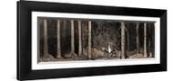 Brown Frame